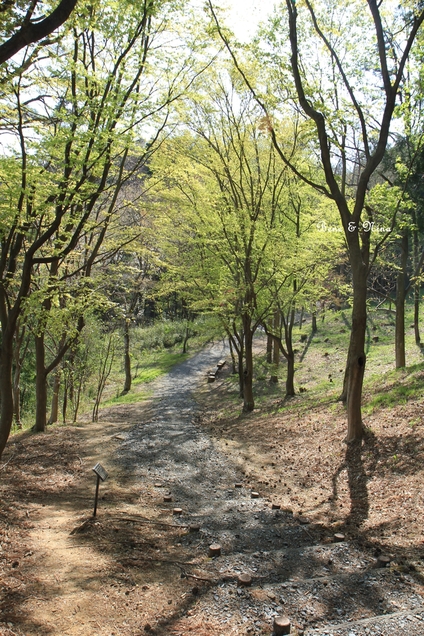 c0283778_14374128.jpg
