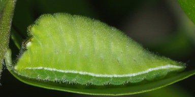b0194593_18195859.jpg