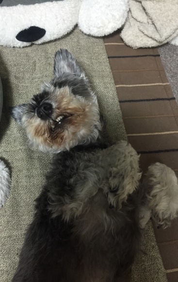 b0188998_13461341.jpeg