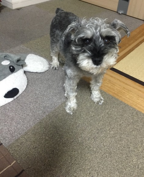 b0188998_13462578.jpeg