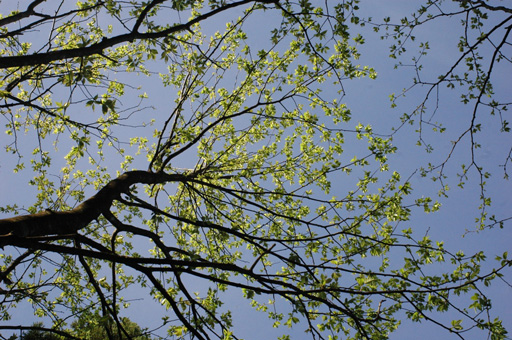 a0061599_7291021.jpg