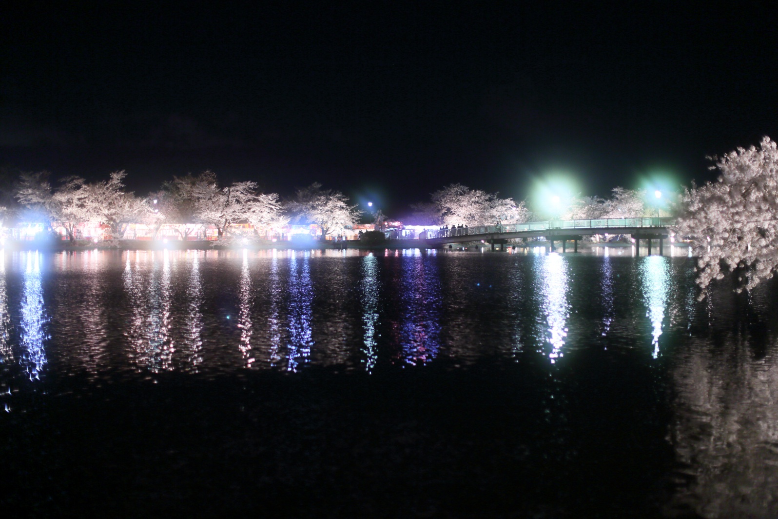 a0155104_16562461.jpg