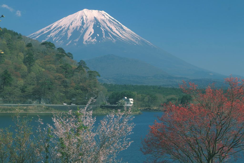 a0188405_11154722.jpg