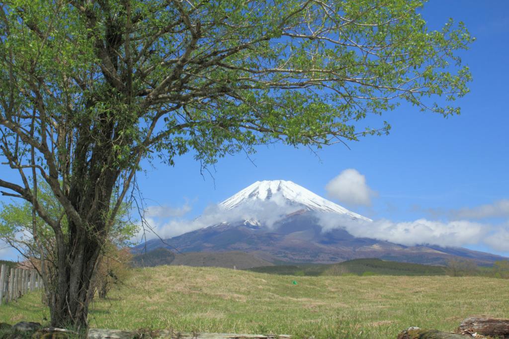 a0188405_13113676.jpg