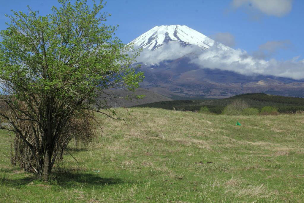 a0188405_13114304.jpg