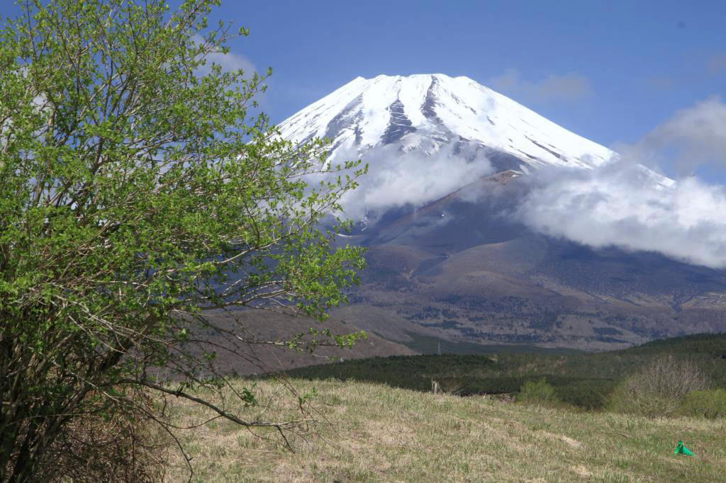 a0188405_13120597.jpg