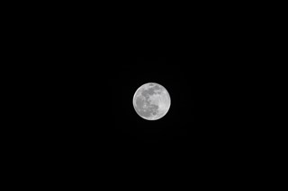 b0110406_1583225.jpg