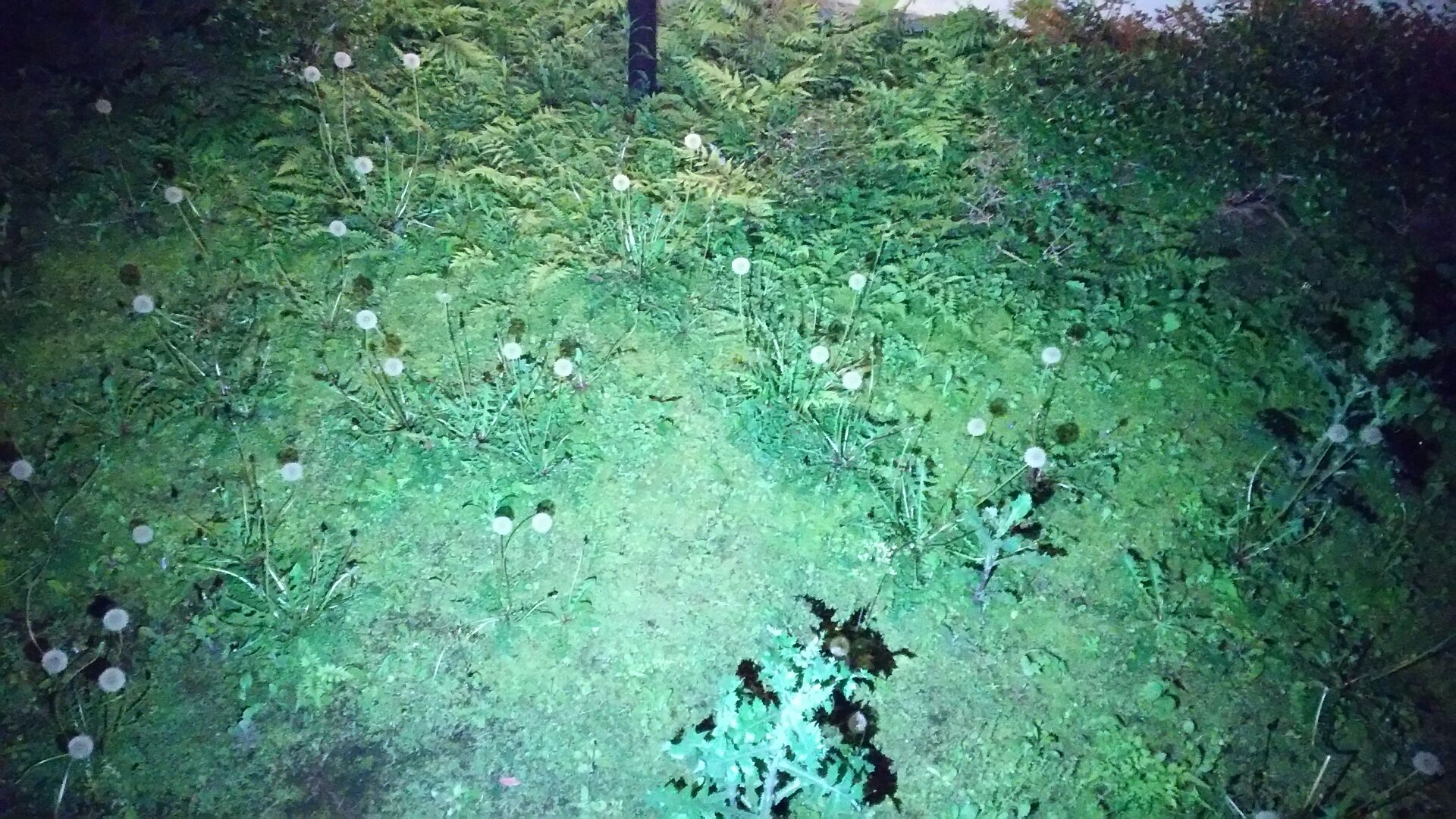 d0041508_0411199.jpg