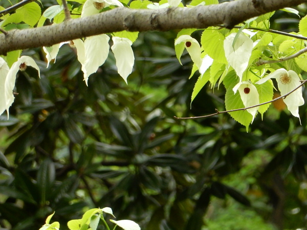 f0231709_004439.jpg