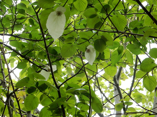 f0231709_01181.jpg