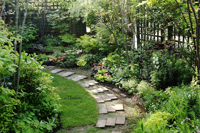 f0131611_10242154.jpg