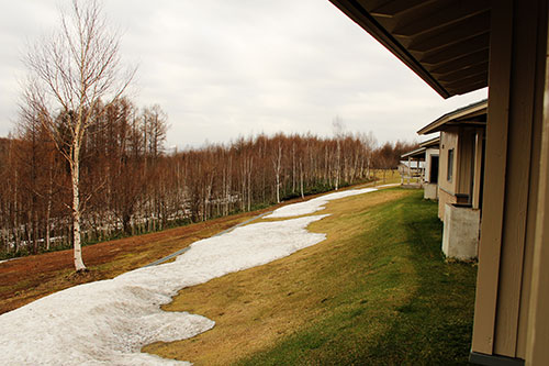 a0139912_15125430.jpg