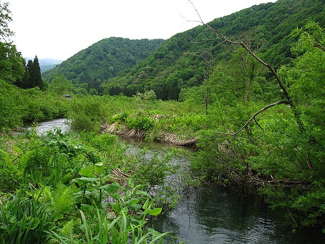 c0232813_17283986.jpg