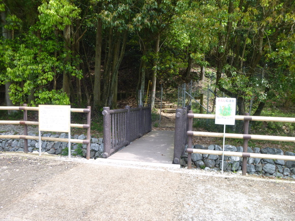 d0170615_205810100.jpg