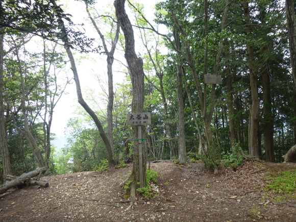 d0170615_2155718.jpg