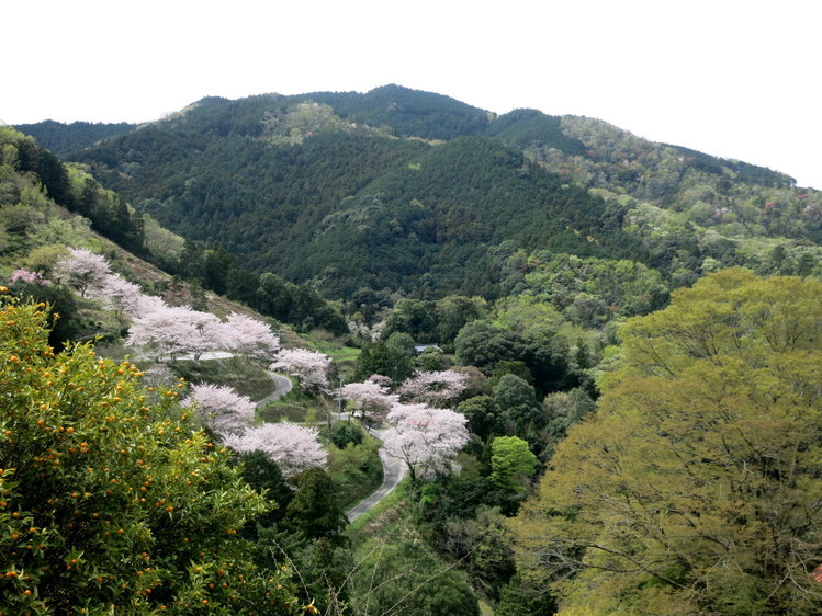 b0139518_2143160.jpg