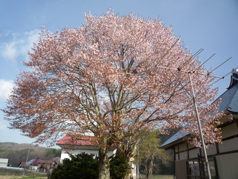 c0189218_8321968.jpg