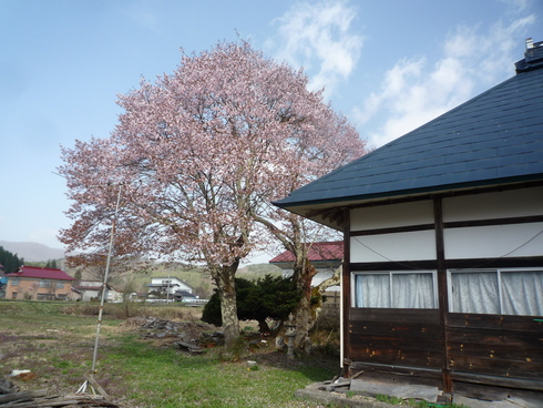 c0189218_83227100.jpg