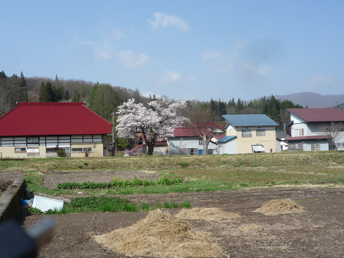 c0189218_832798.jpg