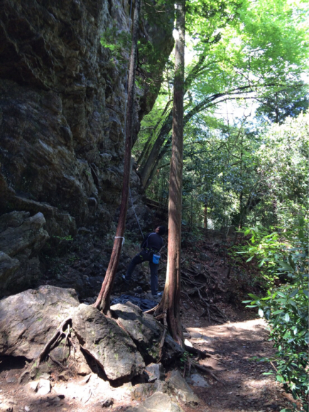 c0210618_06461455.jpg