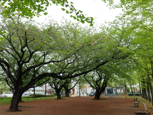 f0128821_22455411.jpg