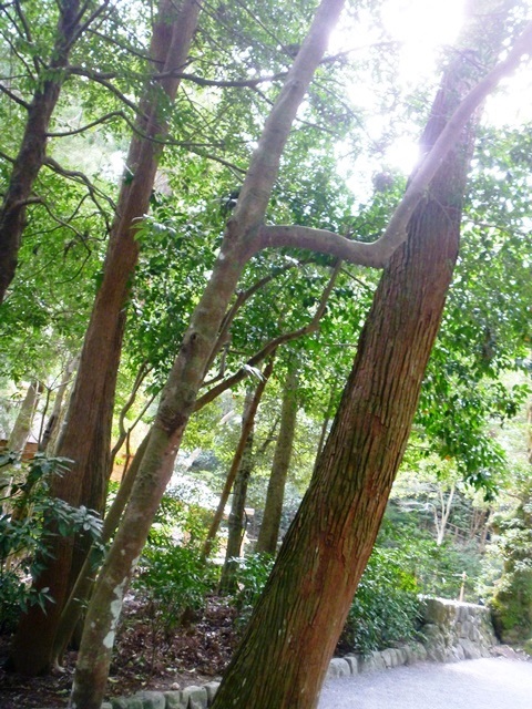 d0137326_01473421.jpg