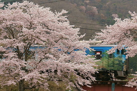 f0037227_23143475.jpg