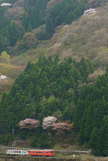 f0037227_23151970.jpg