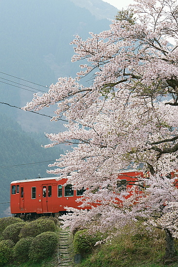 f0037227_23154226.jpg