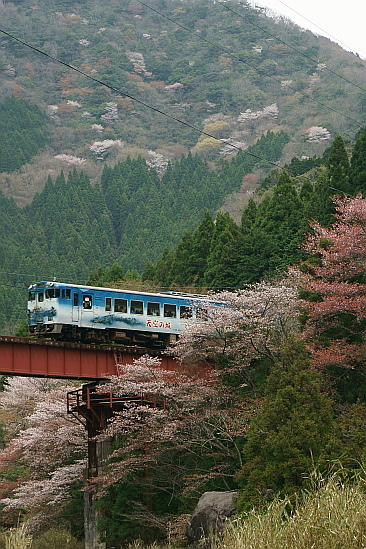 f0037227_2315943.jpg