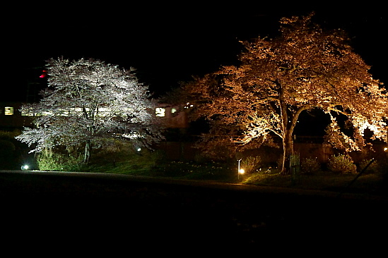 f0037227_2316738.jpg