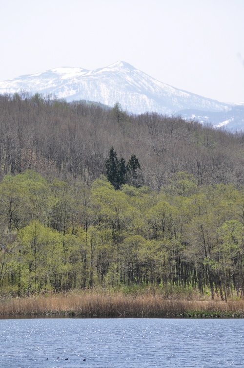 a0248728_2235587.jpg