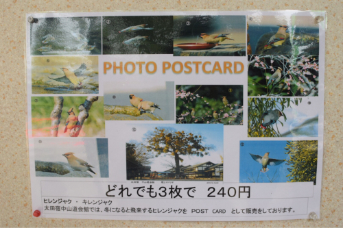 b0312230_11430828.jpg
