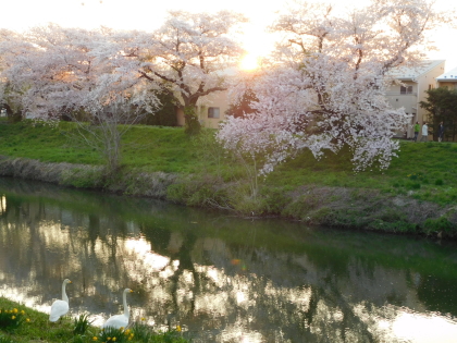 f0080631_20212629.jpg