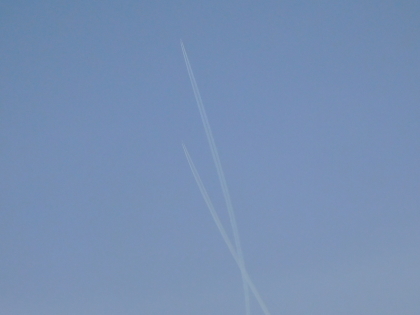 f0080631_20223141.jpg