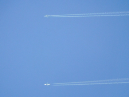 f0080631_20234797.jpg