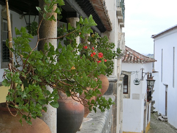 a0129636_15343578.jpg