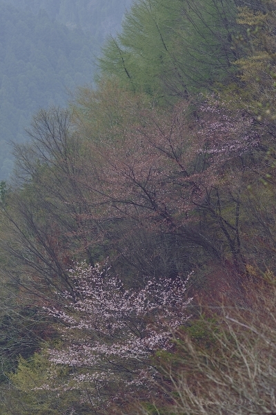 a0212036_18592908.jpg