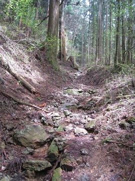 c0077338_232143.jpg