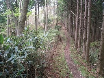c0077338_2322527.jpg