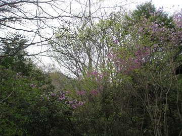 c0077338_233866.jpg