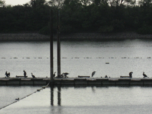 f0153547_10431682.jpg
