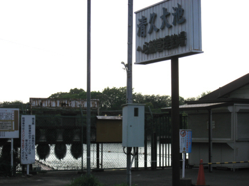f0153547_10452255.jpg