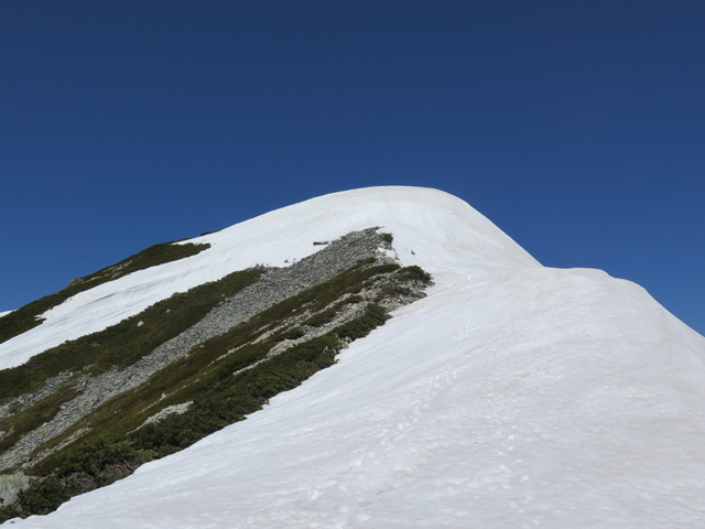 c0116856_15353256.jpg