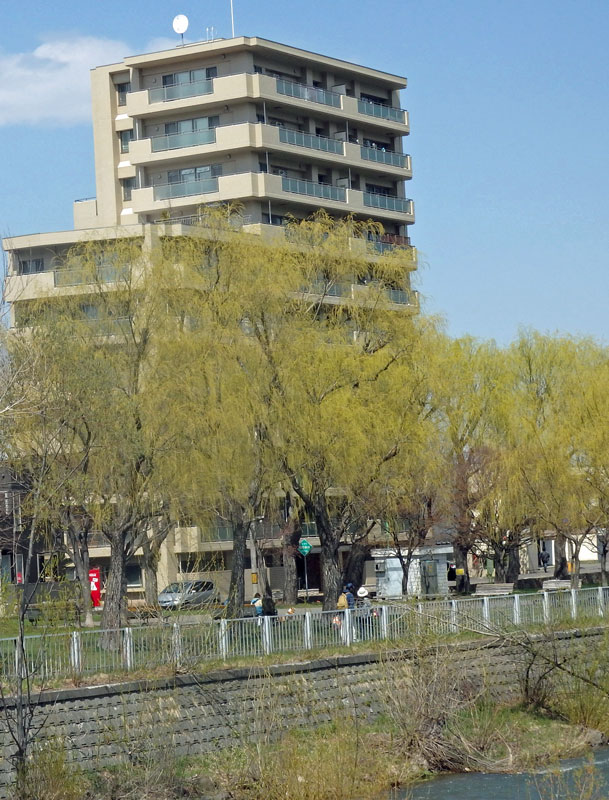 a0193457_16234188.jpg