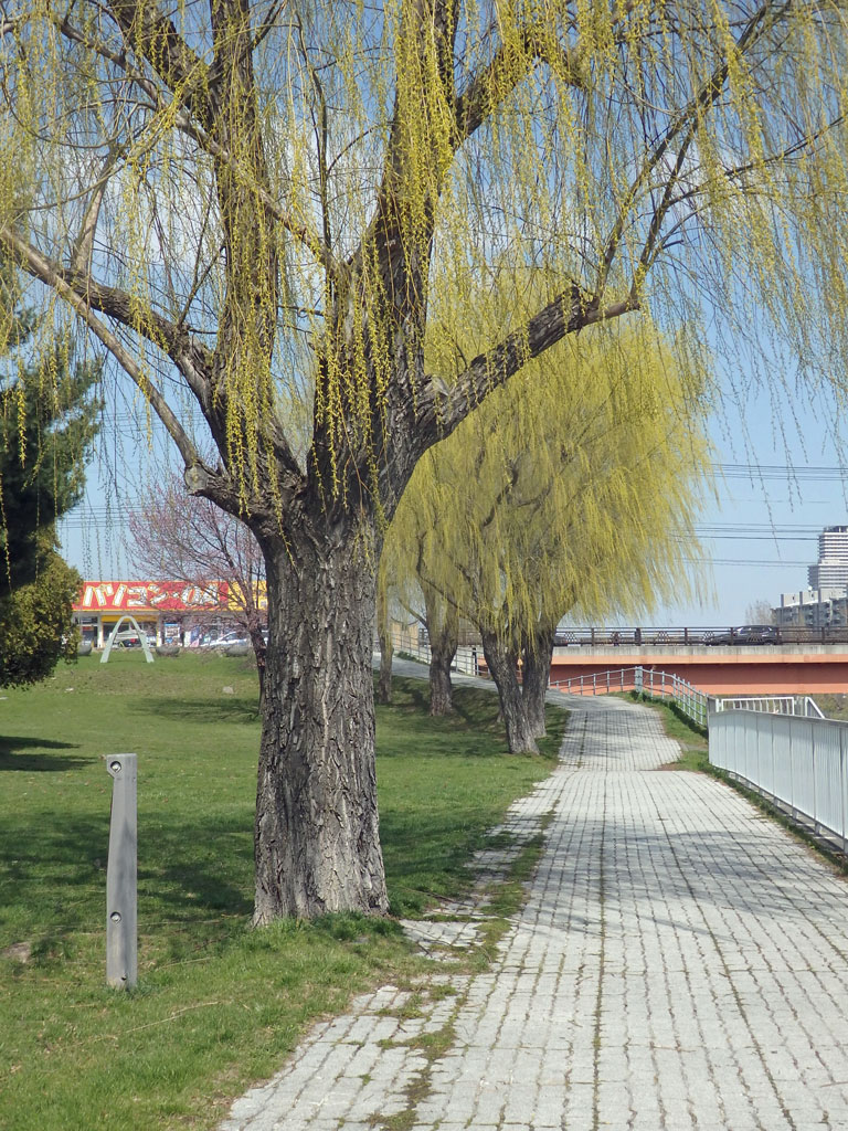 a0193457_16235150.jpg