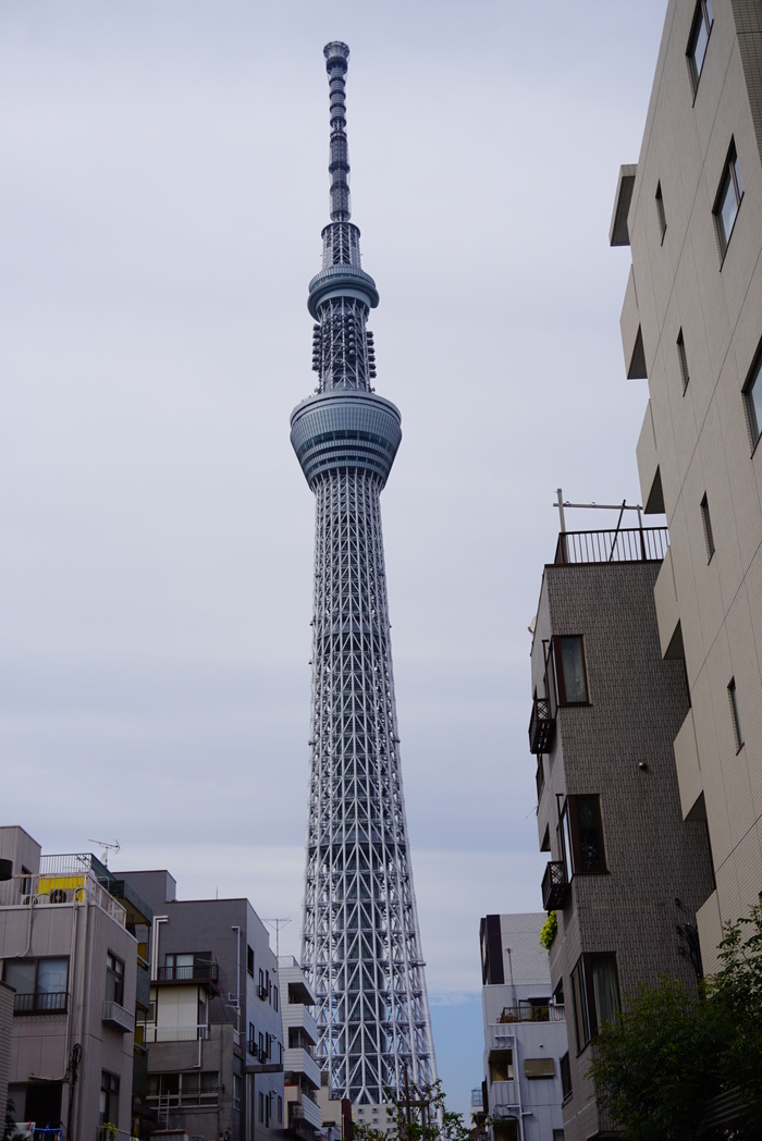 d0152261_23131582.jpg
