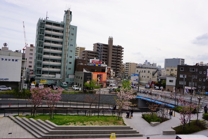 d0152261_23172899.jpg