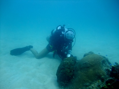 c0039073_1538525.jpg