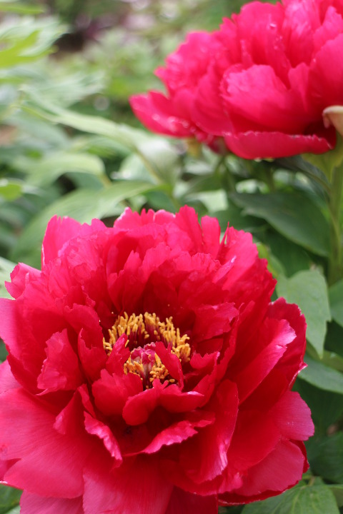 b0004675_2320987.jpg